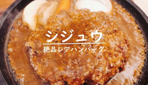 札幌円山シジュウ｜絶品ソースが抜群の超レアハンバーグをご賞味あれ！