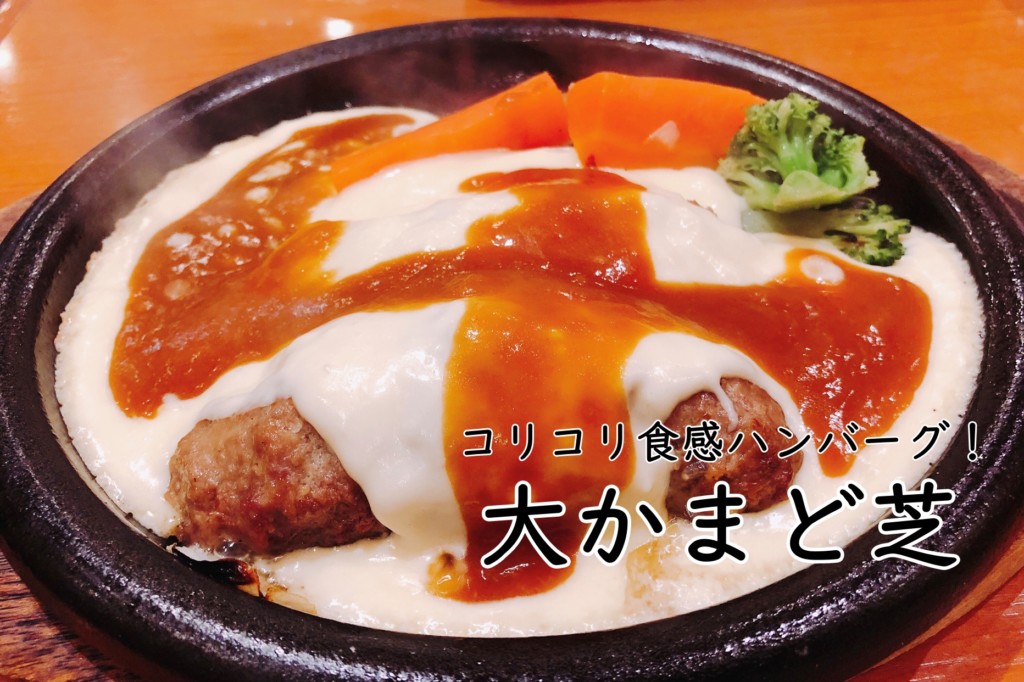 大かまど芝 超粗挽き肉が特徴 ハンバーグなのにコリコリ食感がおいしい ヒンナヒンナ