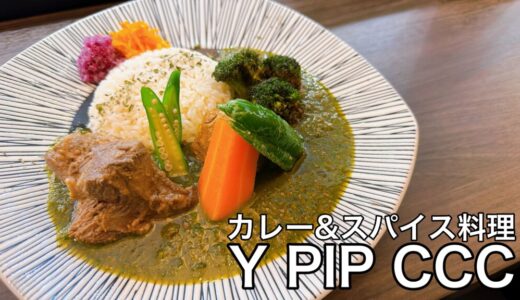Y PIP CCC｜鶏&豚のWスープで旨味たっぷりカレーとスパイス料理-中央区山鼻-